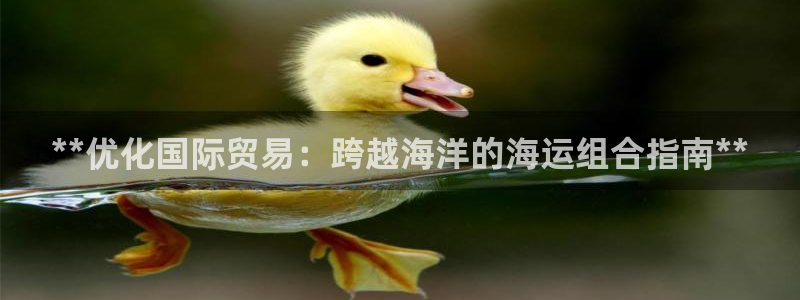 欢迎你来到公海赌