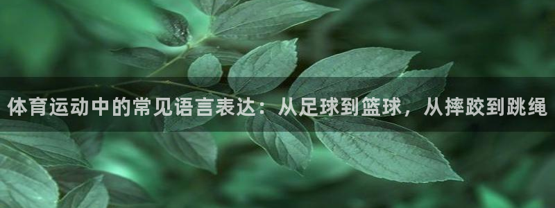 米兰体育平台：体育运动中的常见语言表达：从足球到篮球，从摔跤到跳绳