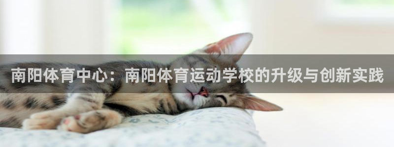 米兰体育网页版登录：南阳体育中心：南阳体育运动学校的升级与创新实践