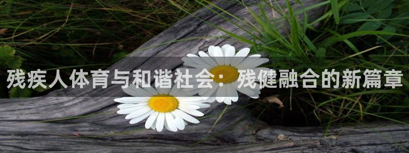 米兰体育：残疾人体育与和谐社会：残健融合的新篇章